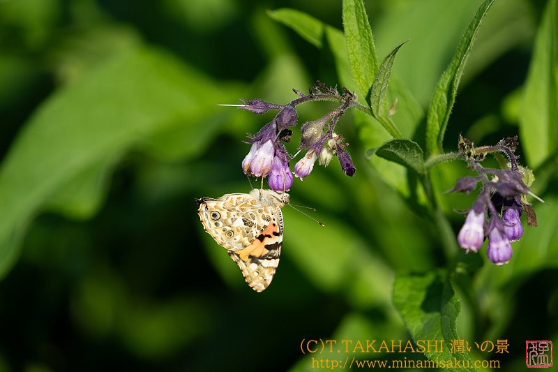 ../Images/7R241013 (138).jpg